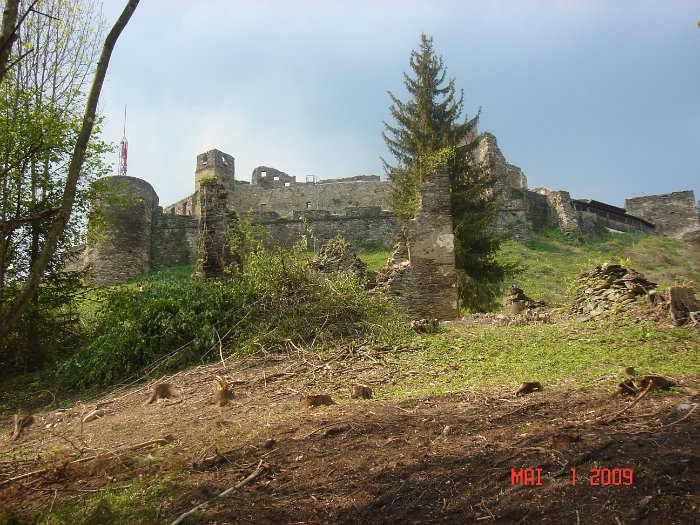 Schlägerung 083
